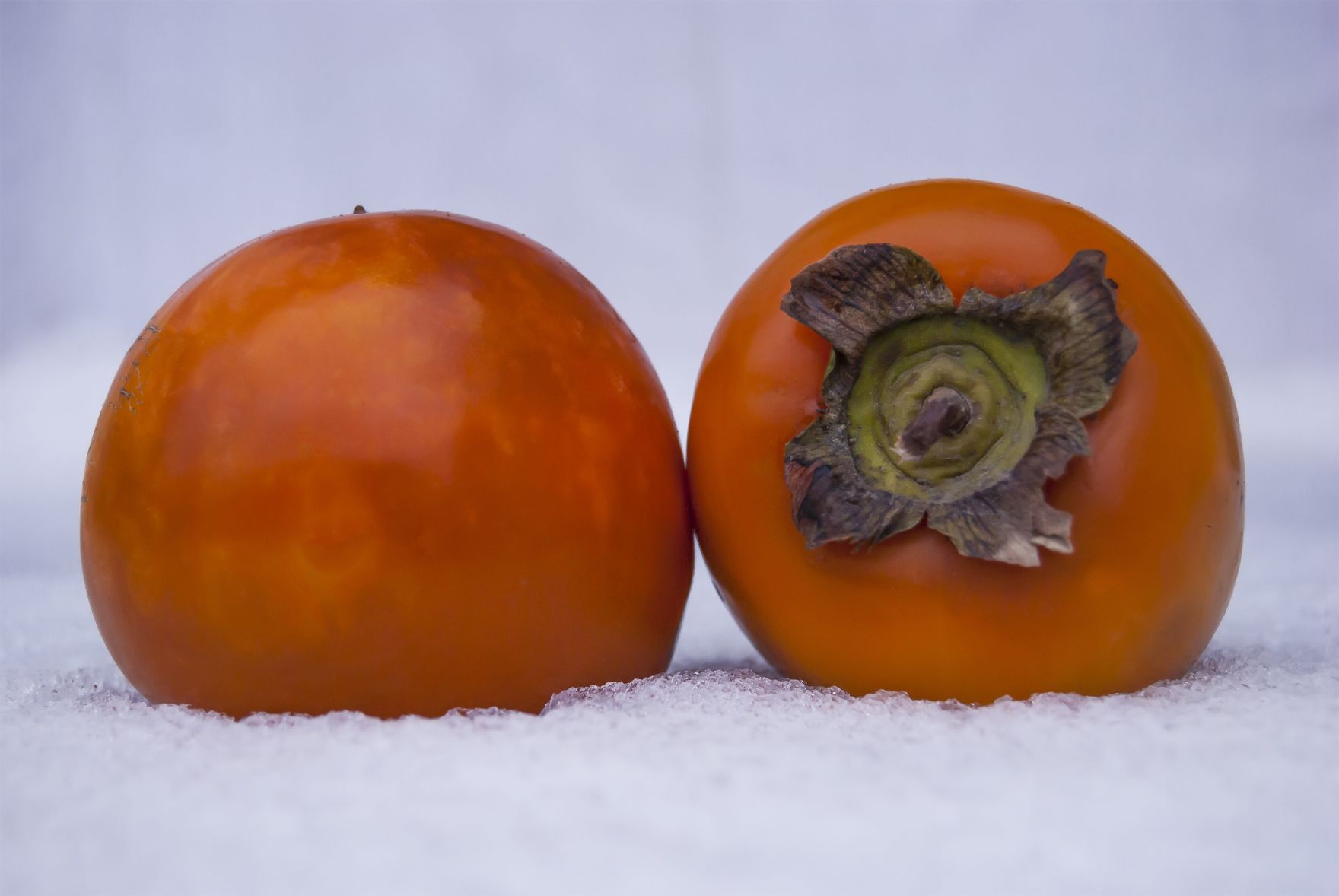 Two ripe orange persimmons lie in the snow